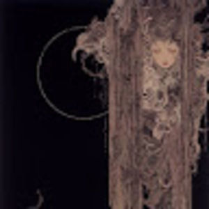 Meet your Posher, Liz marie